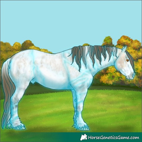Horse Color:Thunderstruck White Spotted Buckskin Ice Roan Dun Frame Blanket 