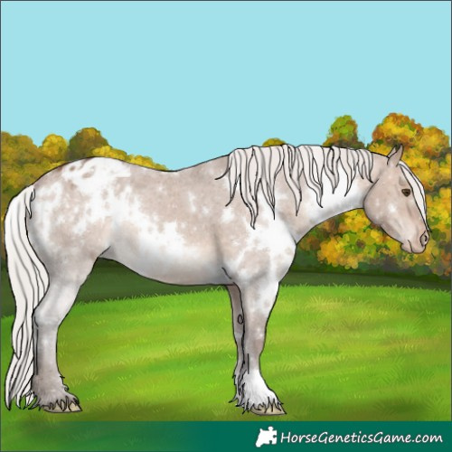 Horse Color:White Spotted Silver Brown Dun Varnish 