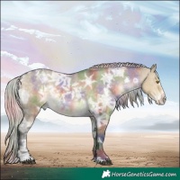Horse Color:Nacre White Spotted Silver Buckskin Ice Dun Appaloosa 