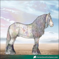Horse Color:Nacre White Spotted Silver Buckskin Ice Dun Appaloosa 