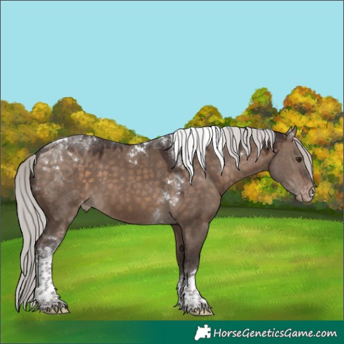 Horse Color:Silver Brown Dun Tobiano Varnish 
