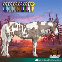 Horse Color:White Spotted Silver Classic Cream Champagne Dun Splash Blanket  and Silver Smoky Black Sabino Blanket 