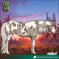 Horse Color:White Spotted Silver Classic Cream Champagne Dun Splash Appaloosa  and Silver Smoky Black Sabino Appaloosa 