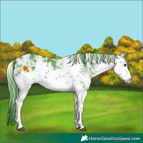 Horse Color:Watercolor White Spotted Brown Sabino 