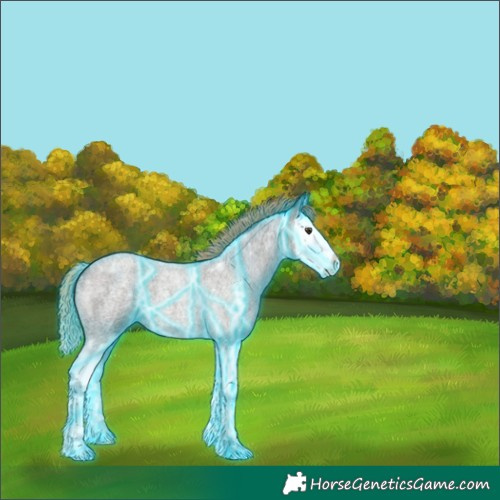 Horse Color:Thunderstruck White Spotted Liver Red Roan Splash 
