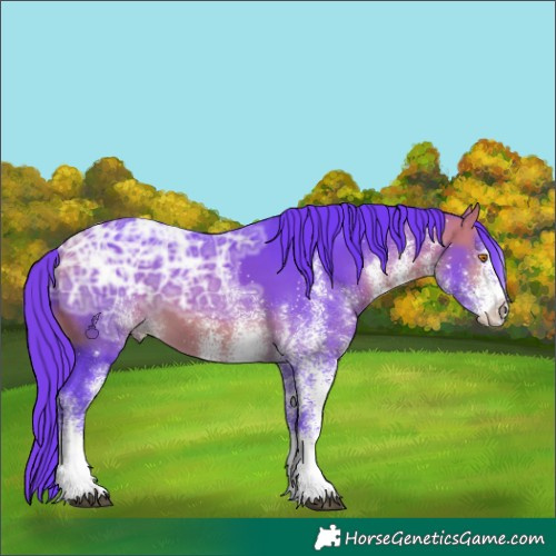 Horse Color:Watercolor White Spotted Buckskin Ice Mushroom 