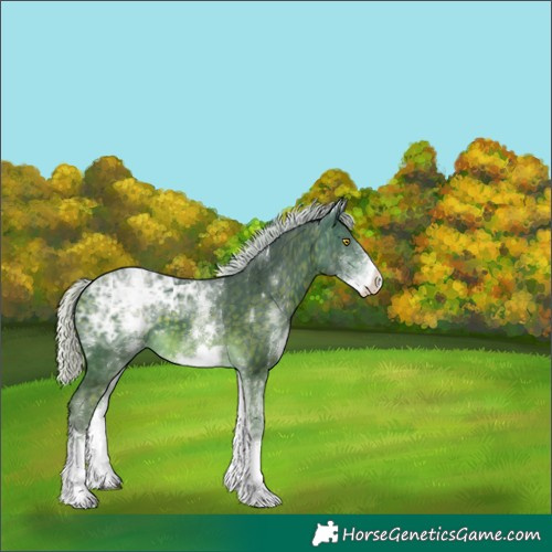 Horse Color:White Spotted Silver Buckskin Ice Mushroom Tobiano 