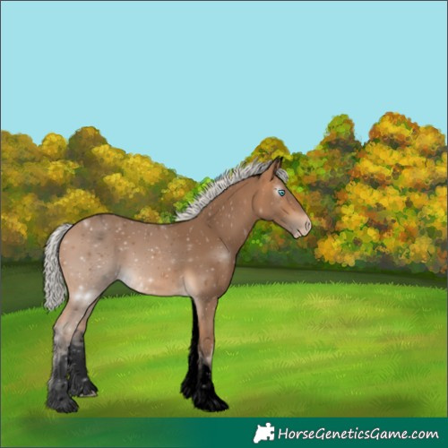 Horse Color:Gray Void White Spotted Silver Perlino Mushroom 