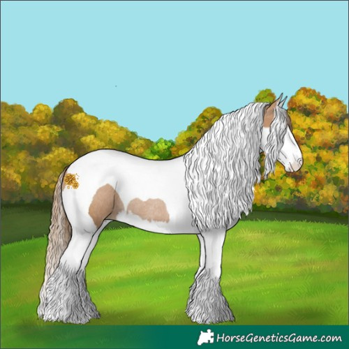 Horse Color:Black Pearl Splash Tobiano Rabicano 