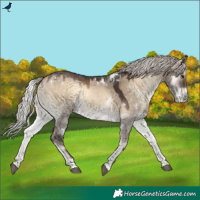 Horse Color:White Spotted Silver Brown Onyx 