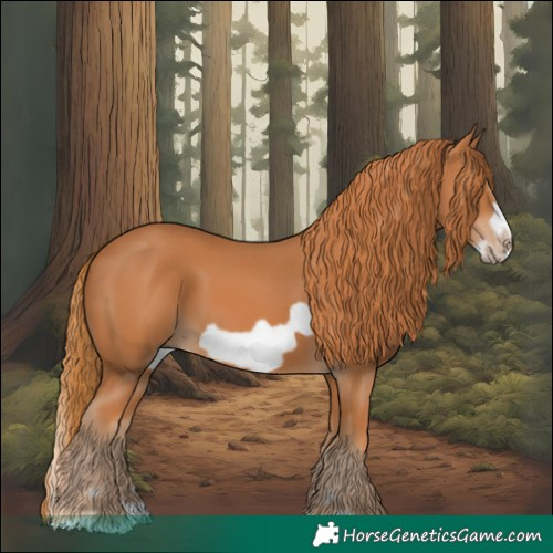 Horse Color:Chestnut Splash Frame