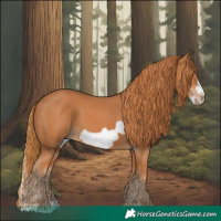 Horse Color:Chestnut Splash Frame