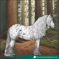 Horse Color:Black Blanket