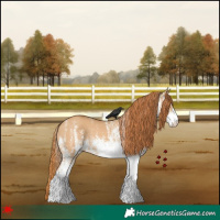 Horse Color:White Spotted Red Dun