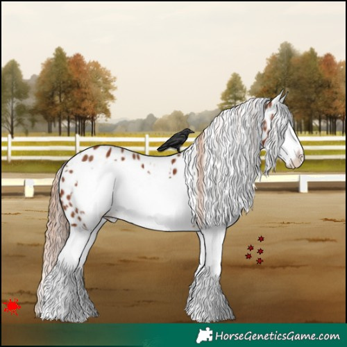 Horse Color:White Spotted Chestnut Splash Frame Appaloosa 