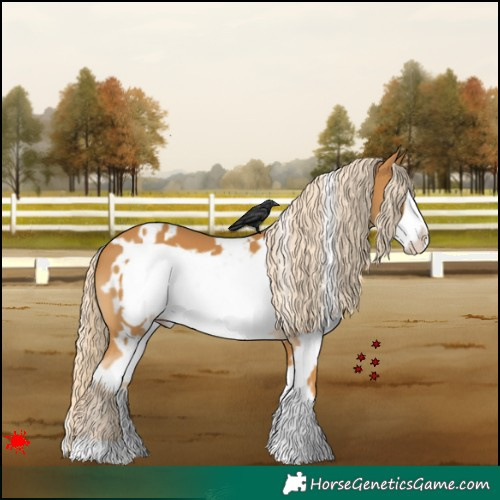 Horse Color:White Spotted Palomino Frame 