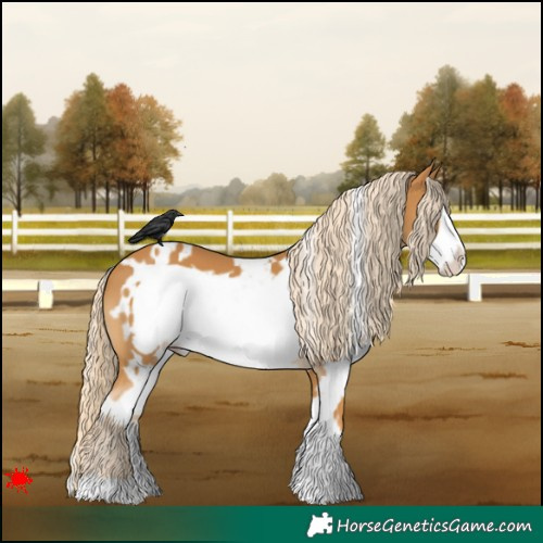 Horse Color:White Spotted Palomino Frame 