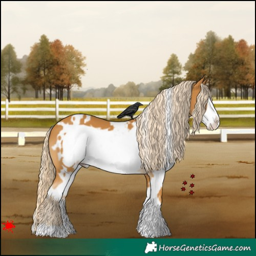 Horse Color:White Spotted Palomino Frame