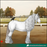 Horse Color:White Spotted Grullo Roan Frame Appaloosa 