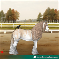 Horse Color:White Spotted Red Dun Splash 