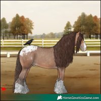 Horse Color:Amber Champagne Blanket