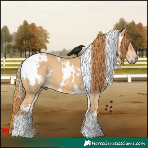 Horse Color:White Spotted Red Dun 