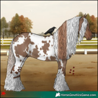 Horse Color:White Spotted Liver Red Dun 
