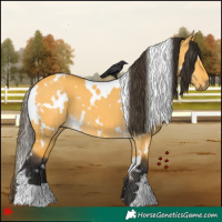 Horse Color:White Spotted Buckskin Dun 