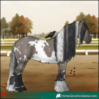 Horse Color:White Spotted Grullo