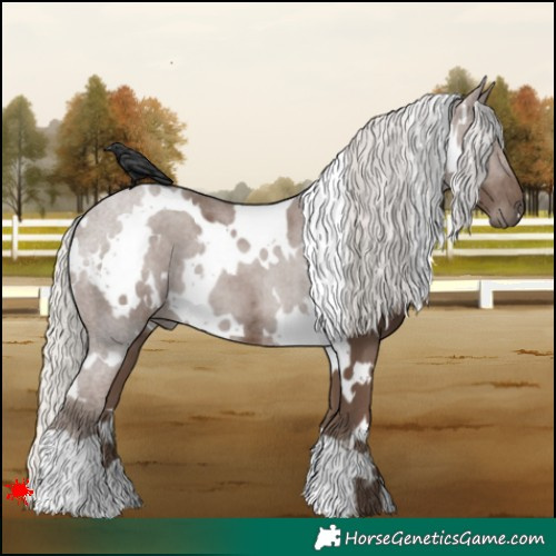 Horse Color:White Spotted Silver Black 