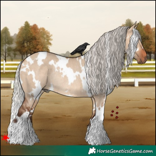 Horse Color:White Spotted Silver Bay Dun Rabicano 