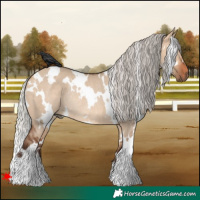 Horse Color:White Spotted Silver Bay Dun Rabicano 