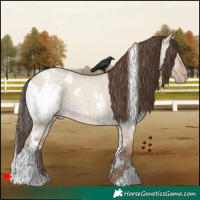Horse Color:White Spotted Classic Champagne Roan Dun 