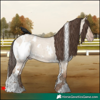 Horse Color:White Spotted Classic Champagne Roan Dun 