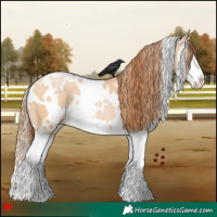 Horse Color:White Spotted Bay Pearl Dun Splash 