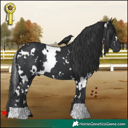 Horse Color:White Spotted Black 