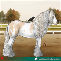 Horse Color:White Spotted Palomino Pearl Splash