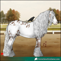 Horse Color:White Spotted Silver Black Frame Appaloosa 