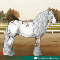 Horse Color:White Spotted Silver Black Frame Appaloosa 