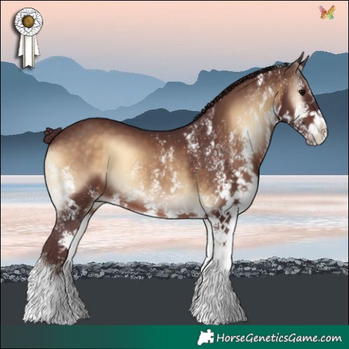 Horse Color:White Spotted Chocolate Brown Onyx 