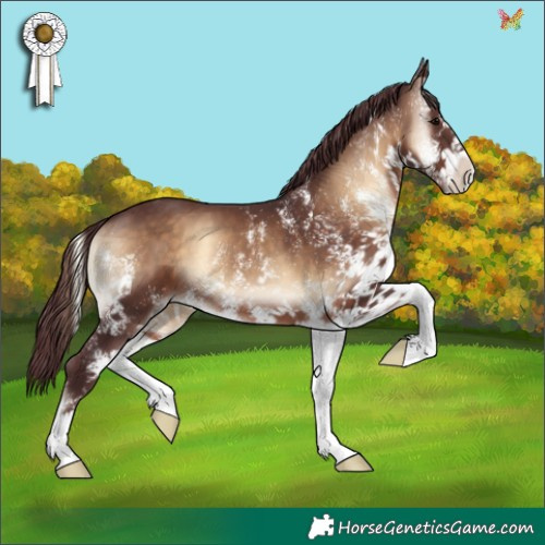 Horse Color:White Spotted Chocolate Brown Onyx 