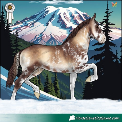 Horse Color:White Spotted Chocolate Brown Onyx 