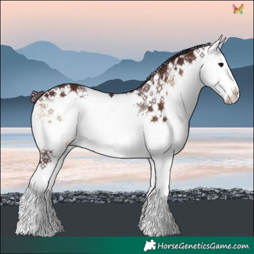 Horse Color:White Spotted Chocolate Brown Onyx 