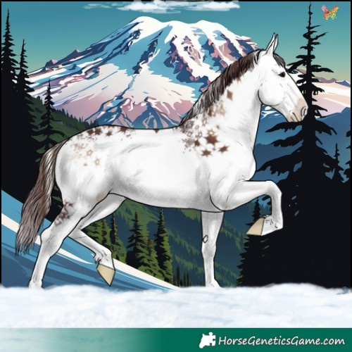 Horse Color:White Spotted Chocolate Brown Onyx 
