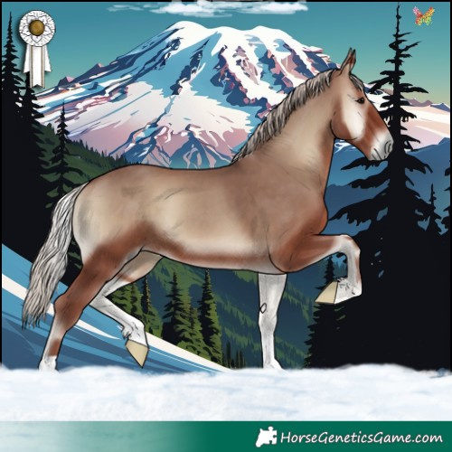 Horse Color:Chocolate Silver Blue Onyx 