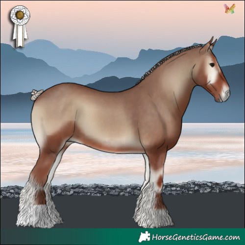 Horse Color:Chocolate Silver Blue Onyx 