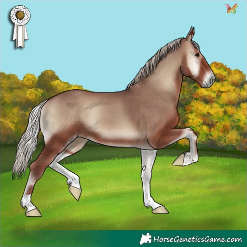 Horse Color:Chocolate Silver Blue Onyx 