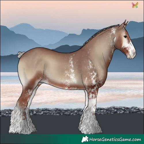 Horse Color:White Spotted Chocolate Silver Blue Onyx 