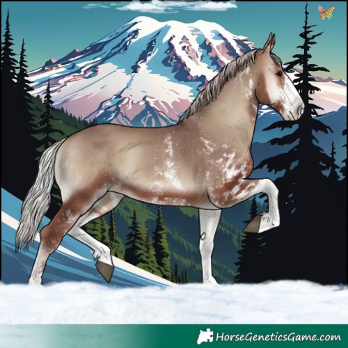 Horse Color:White Spotted Chocolate Silver Blue Onyx 