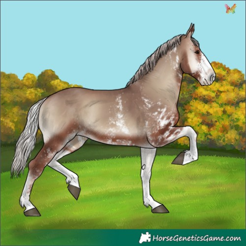 Horse Color:White Spotted Chocolate Silver Blue Onyx 